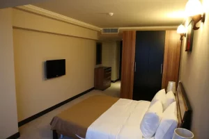 هتل نیو نایری ایروان (New Nairi Hotel) - 4