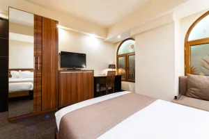 هتل بوتیک باس ایروان (Bass Boutique Hotel) - 6