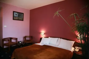هتل آرارات ایروان (Ararat Hotel) - 6