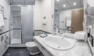 هتل بست وسترن پلاس کانگرس ایروان (Best Western Plus Congress) - 5