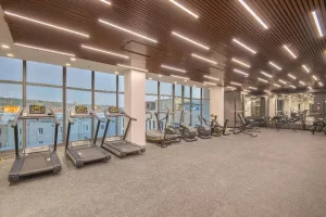 هتل هالیدی این ایروان (Holiday Inn Yerevan) - 4