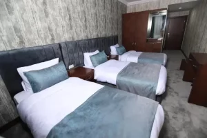 هتل ساردور وان (Sardur Hotel) - 3